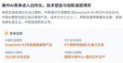 出口节制的无效性于无效实施和法律以防止芯片