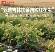 铺子今日回应正不雅旧事记者：“因为工做疏忽
